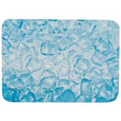 TRIXIE PŁYTA CHŁODZĄCA CERAMICZNA DLA GRYZONI 28x20cm